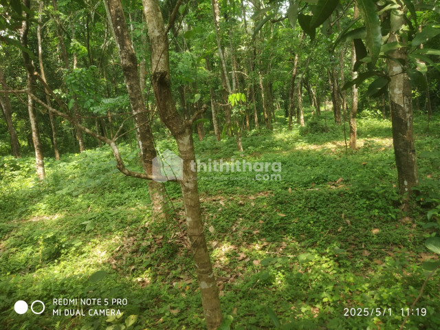  Residential Land  for sale in Chelakkara Thrissur