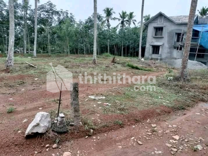 Residential house plots for sale at Adoor Pathanamthitta