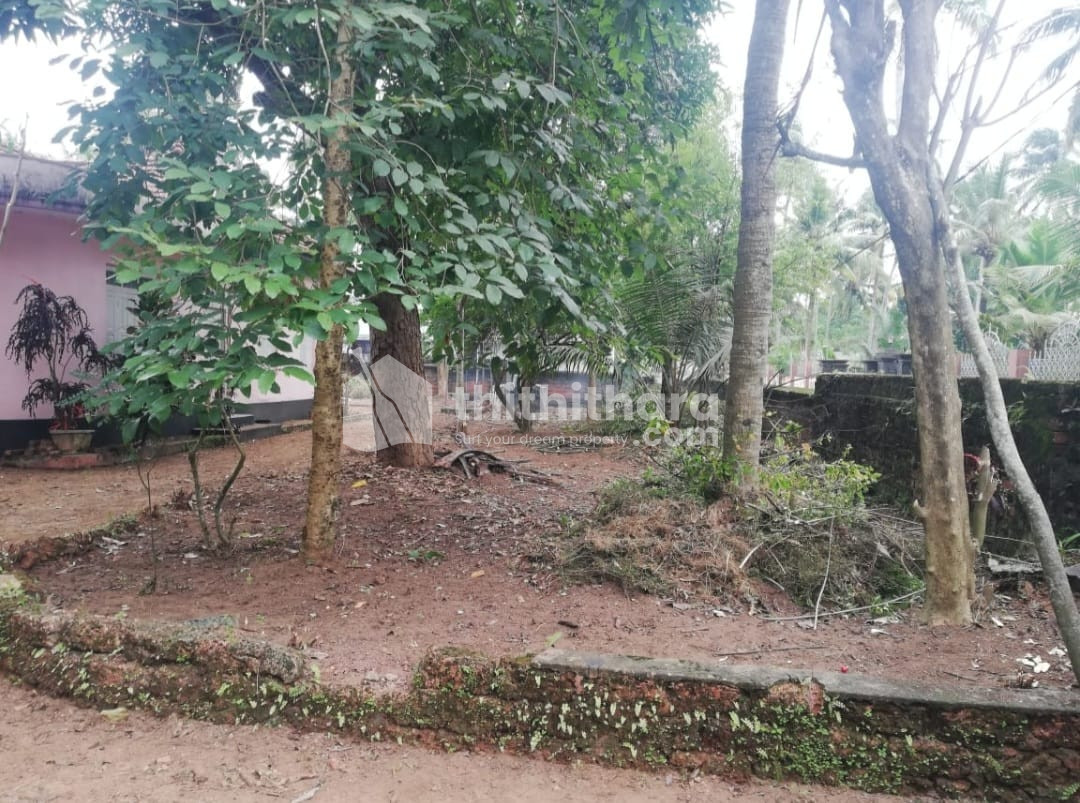 Residential plot for sale Puthenkulam Kollam