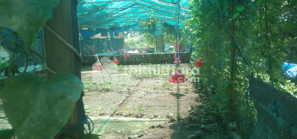 Commercial Others For Sale In Nedumangad Thiruvananthapuram
