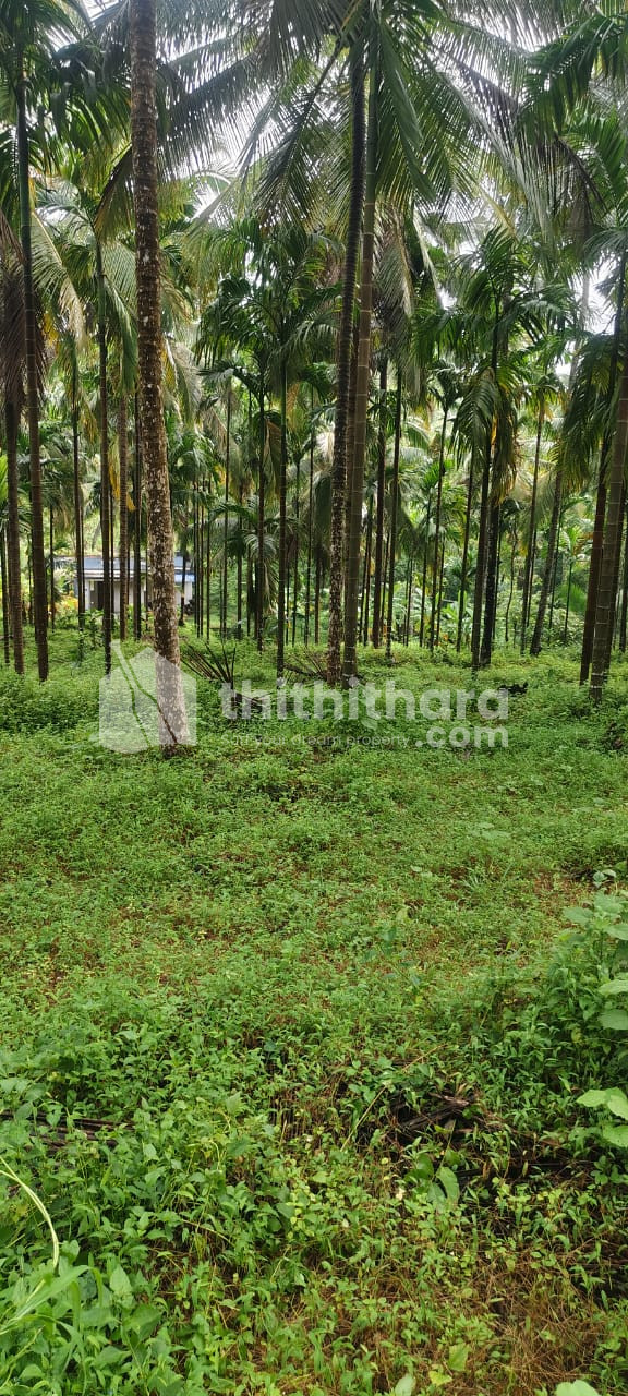 Commercial Plot For Sale In Balusseri Kozhikode 
