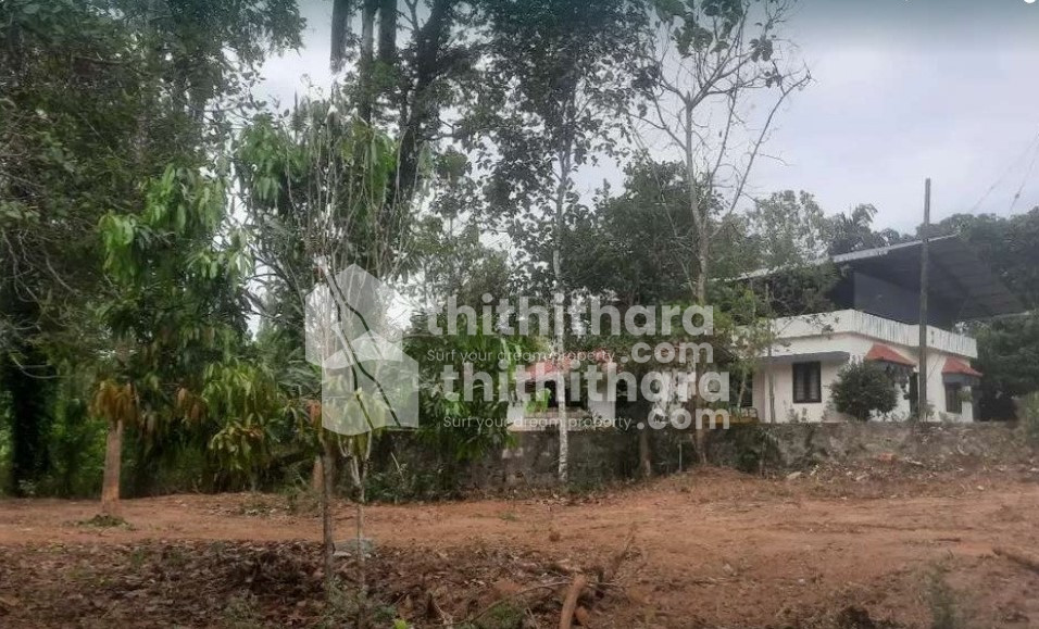 Residential Land for sale at Nedumpana Kollam 