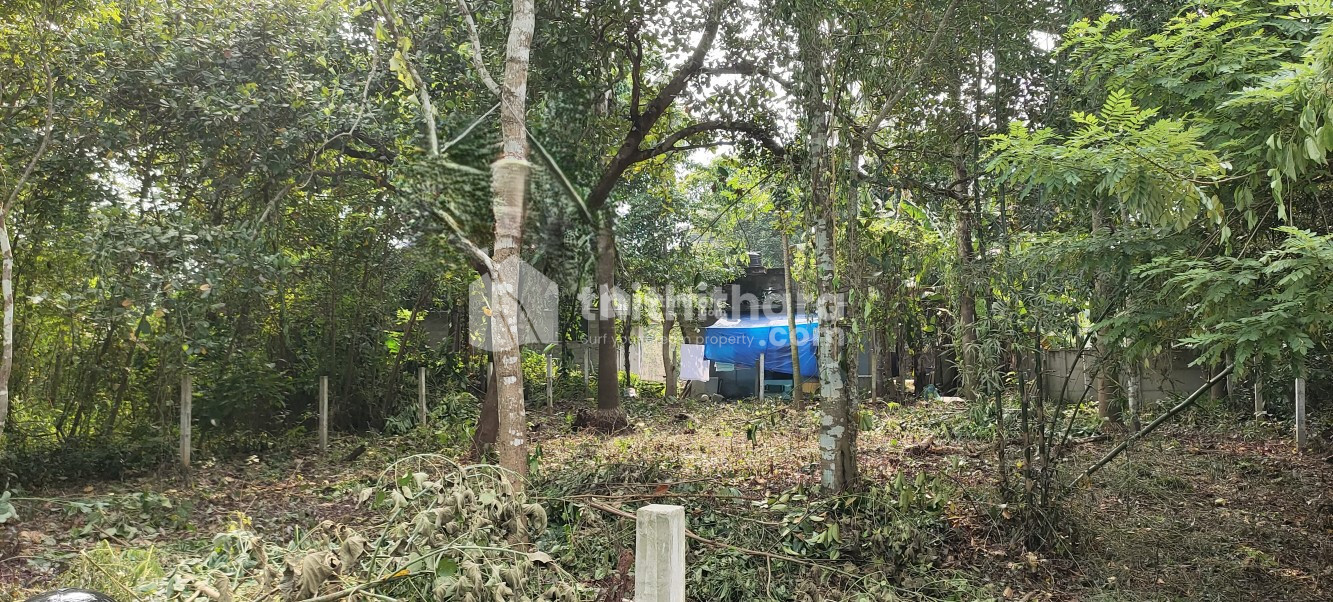 Residential Land for sale at Mundathicode Thrissur