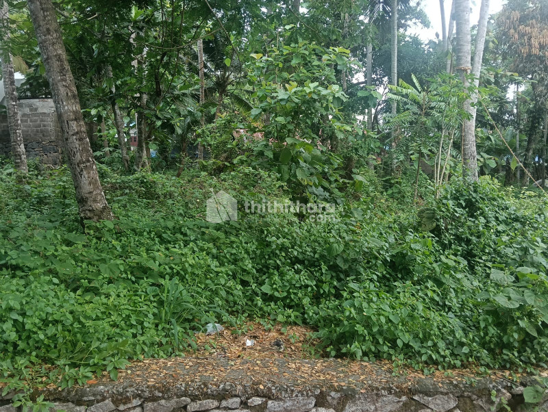  Residential Land for sale in Vellayani Thiruvananthapuram