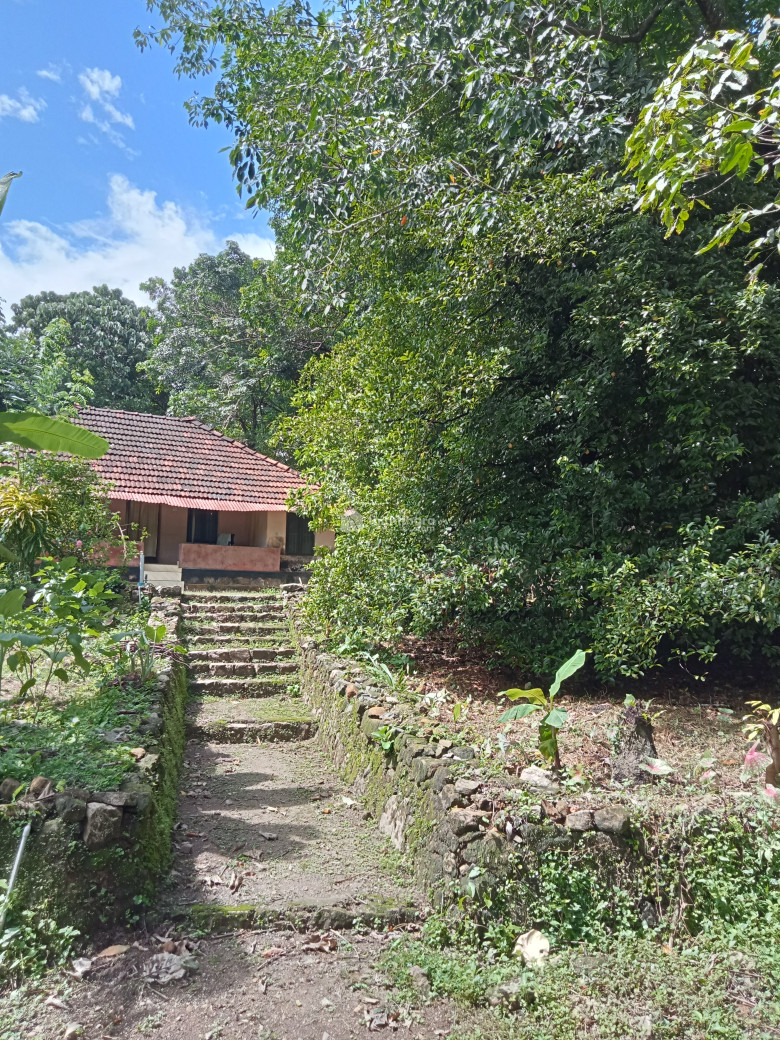 Residential Land for sale at Chalakudy Thrissur 