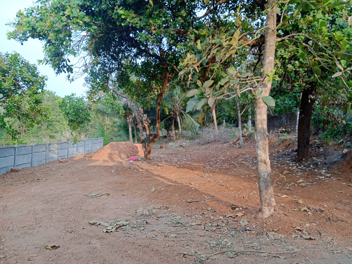 Residential land for sale at Taliparamba Kannur 