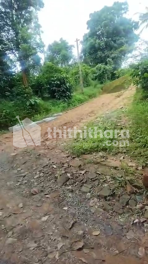 Commercial Plots for sale at Mananthavady Wayanad
