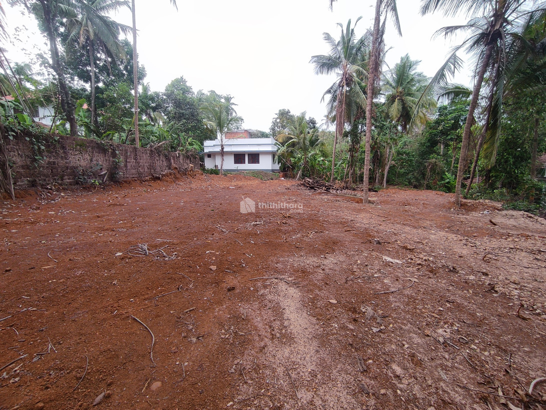 Residential plot for sale in Thaliparamba Kannur