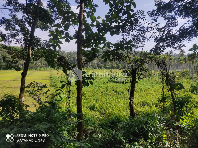 Commercial Plot for sale at Vythiri Waynad