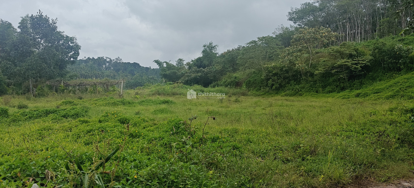 Residential land for sale at Kalpetta Wayanad 