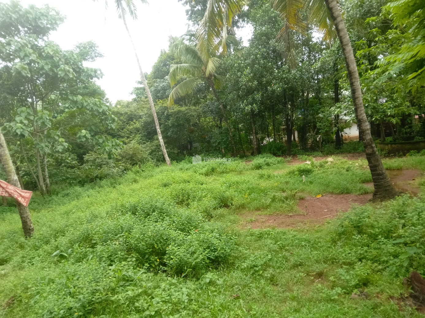 Residential Land For Sale in Vellangallur Thrissur