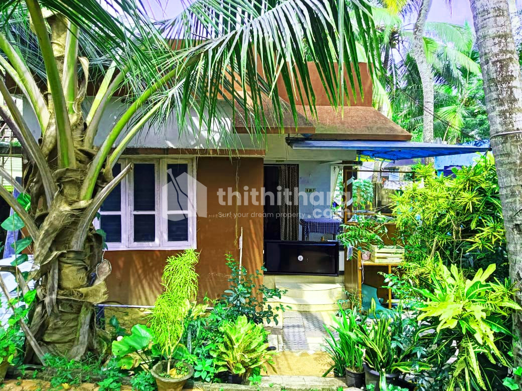 3 BHK Independent House for sale at Ambalathara Thiruvananthapuram 