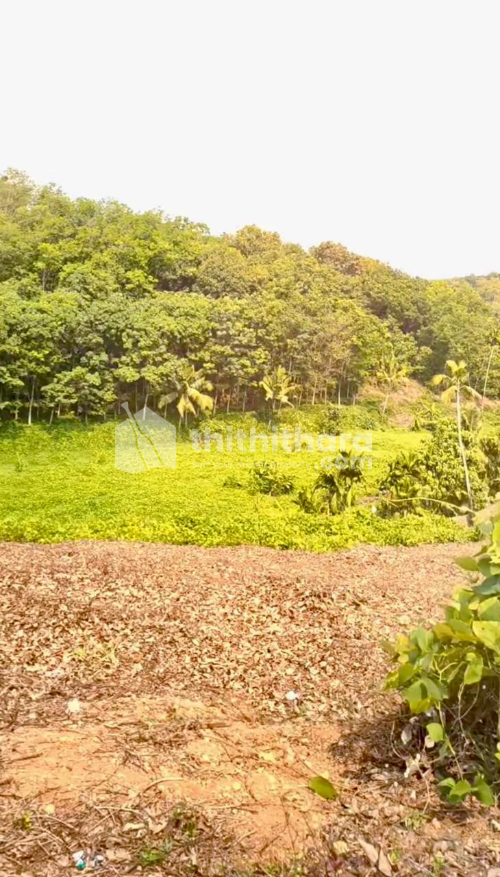 Commercial Plots for sale at Anchal Kollam 