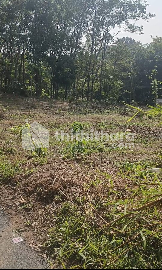 Residential land for sale at Ezhakkaranad Ernakulam