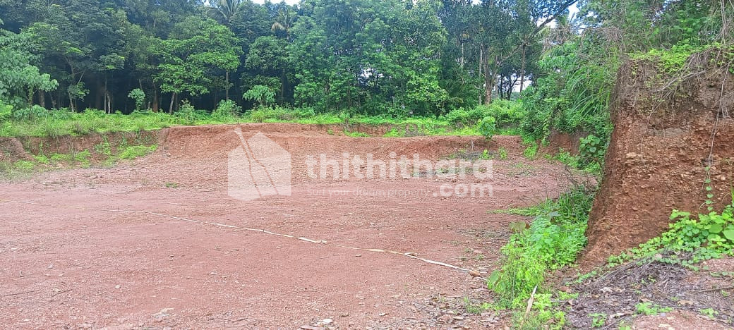 Commercial Plot  For Sale in Kottarakkara Kollam