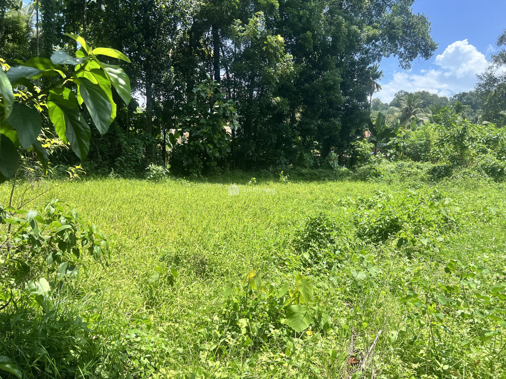 Residential land for sale at Konni Pathanamthitta