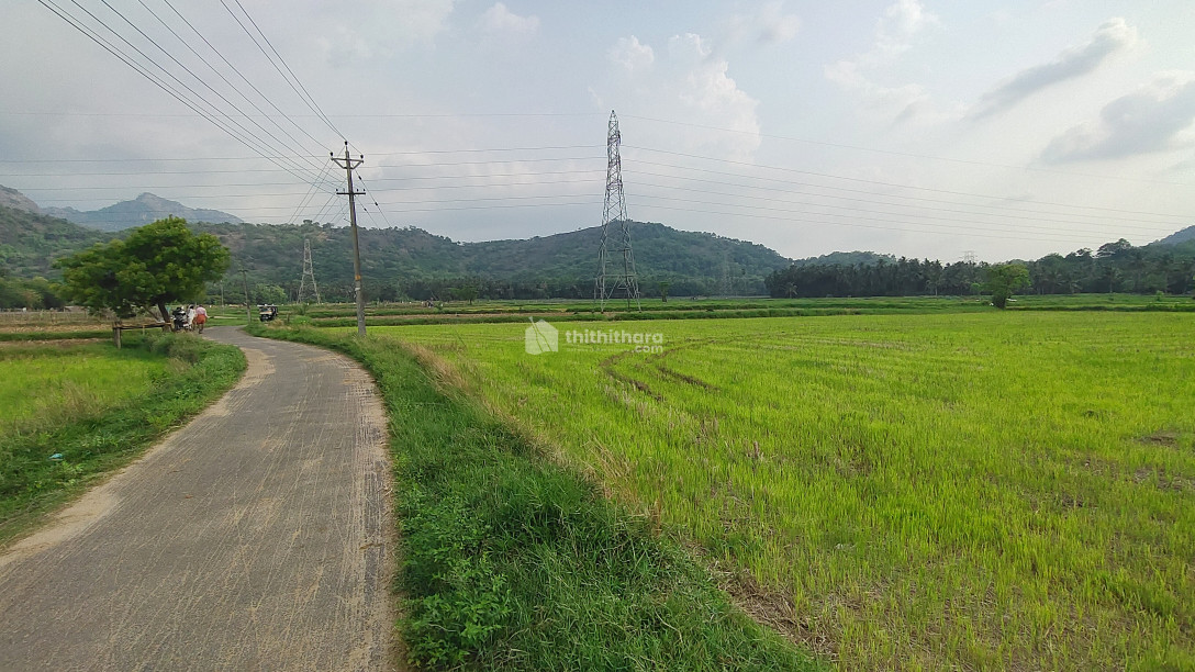 Agricultural land for sale at Vallanga Palakkad 