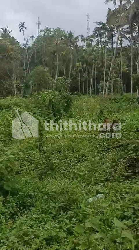 Commercial Plots for sale at Chungam Wayanad 