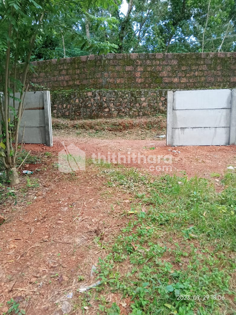 Residential Land For Sale In Valanchery Malappuram