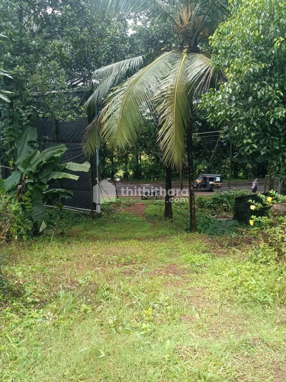 Commercial Plot For Sale In Kalpally Mavoor Kozhikode