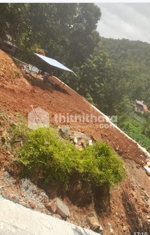 Residential Land For Sale In Mylapra Pathanamthitta