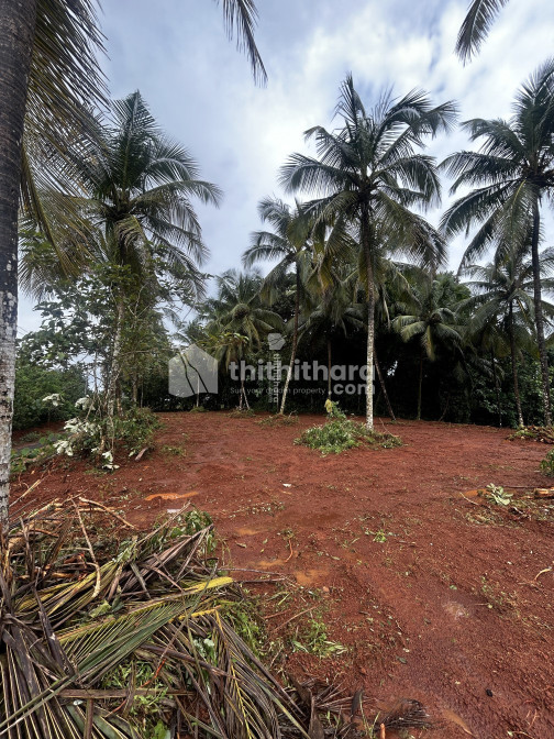 Commercial plot for sale at Manjeri Malappuram