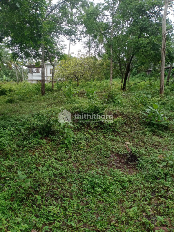Residential Land For Sale In Kuthuparamba Kannur 