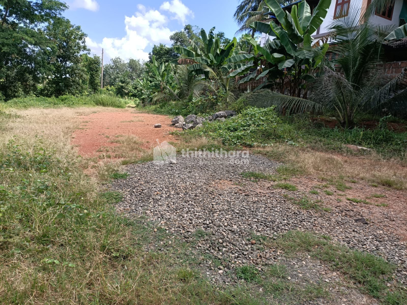 Residential Land For Sale In Cherpulassery Palakkad