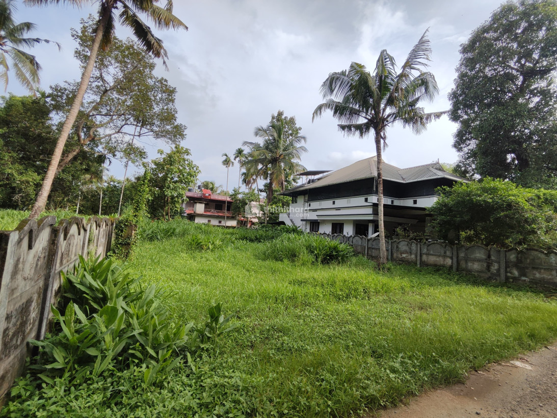 Residential Land For Sale In padiyoor Thrissur