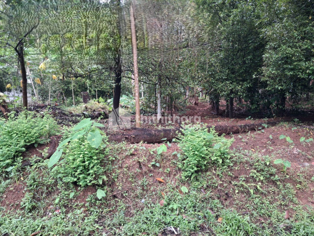 Residential land for sale at Chalakudy Thrissur 