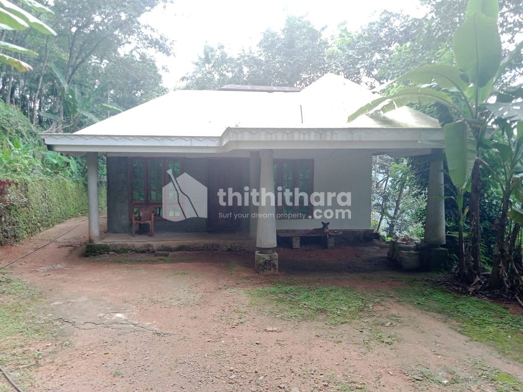 Agricultural Land for sale at Konni Pathanamthitta