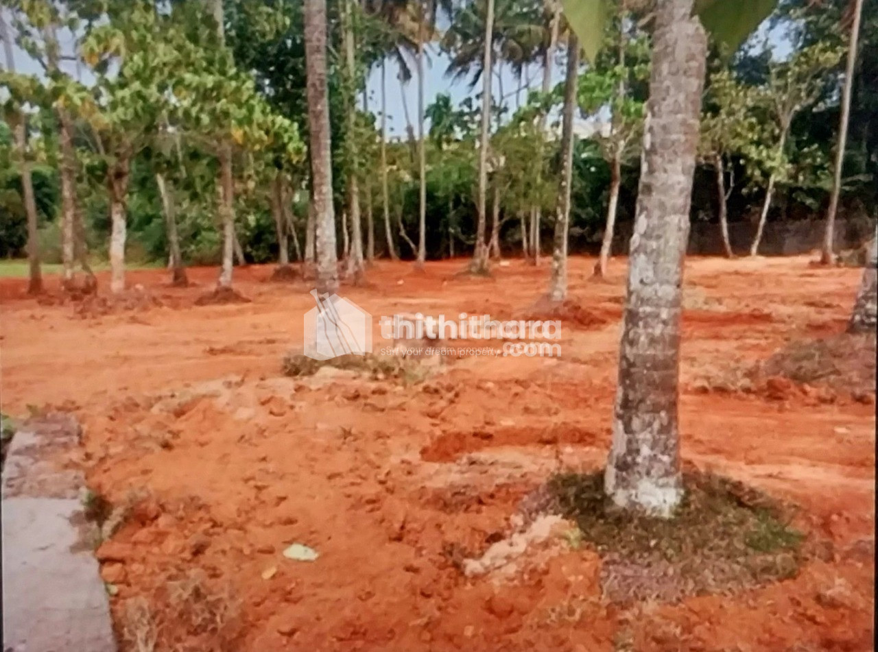 88 Cent Land For Sale in Kizhakkambalam Ernakulam
