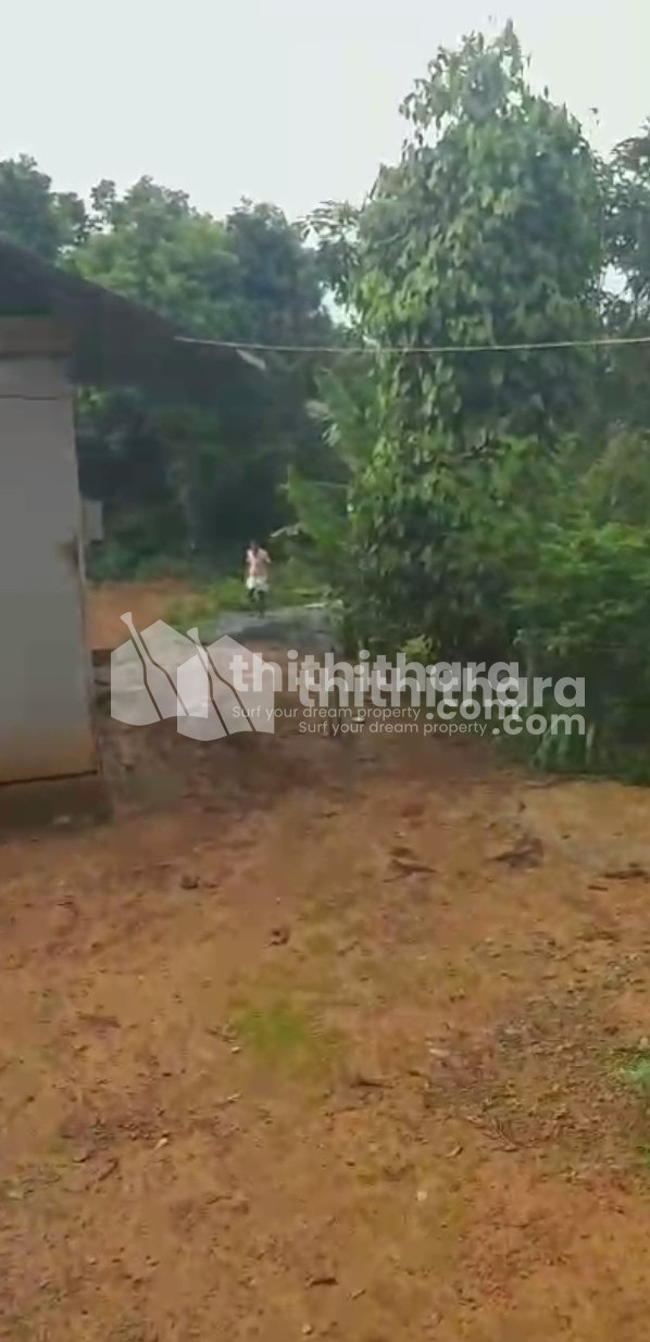 4 acre Residential Land For Sale Mananthavady Wayanad