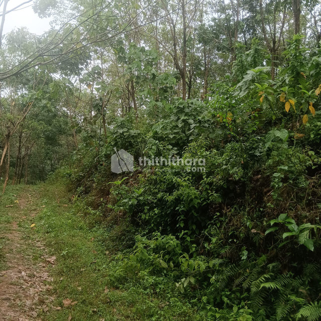 commercial plot for sale in Thiruvambady kozhikode