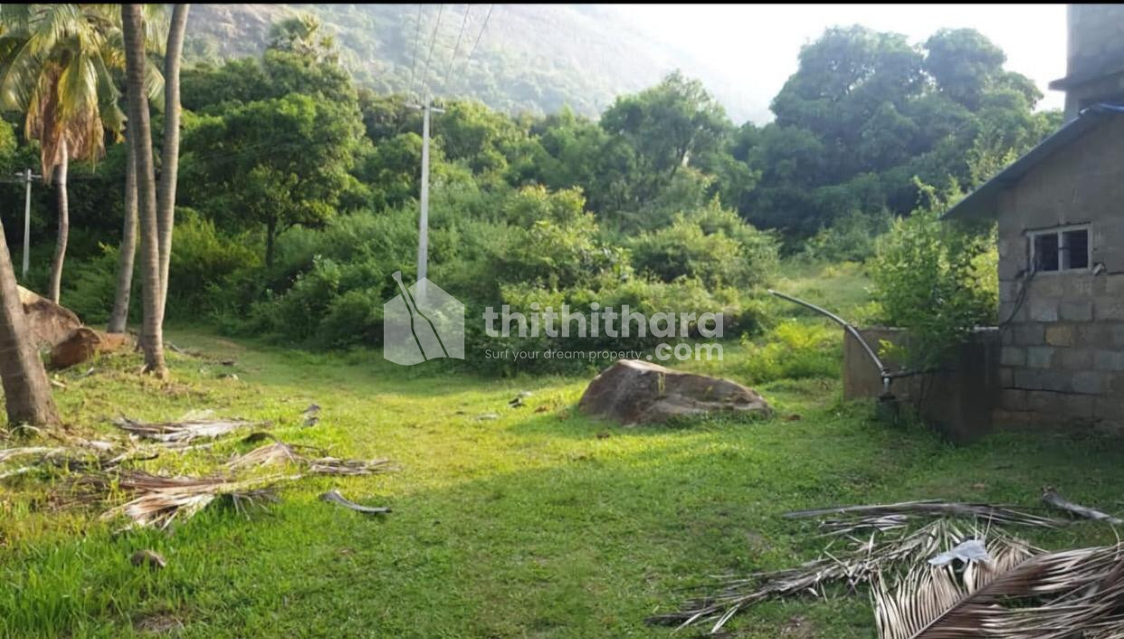 Commercial Plot For Sale In kollengode Palakkad 