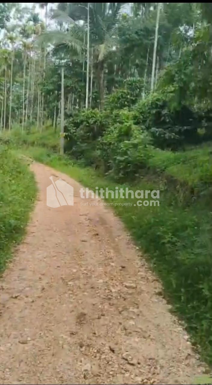 Commercial Plot for sale in Ambalavayal Wayanad