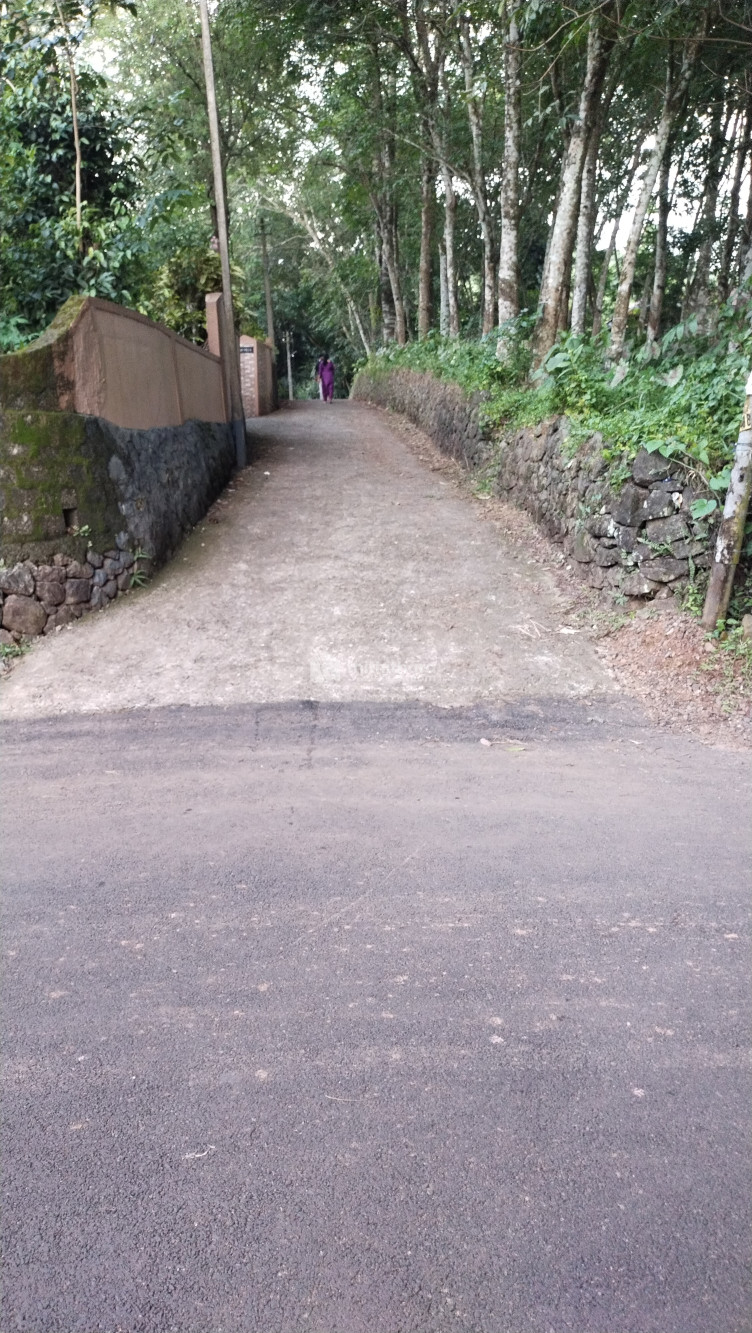 Residential Land for sale at Puthuppally Kottayam 