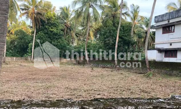 Residential land for sale in chembukkav
