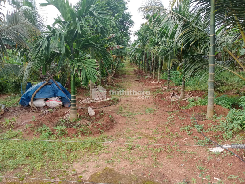 Residential Land For Sale In Thiruvilwamala Thrissur