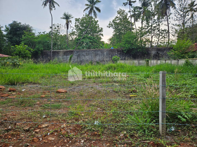 Residential land for sale in chembukkav