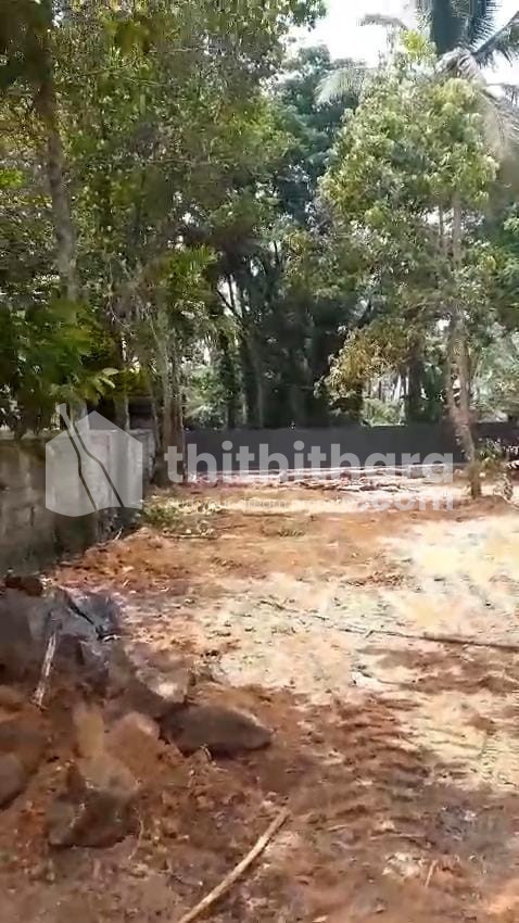 Residential Land available for Sale in Kumbalam Ernakulam