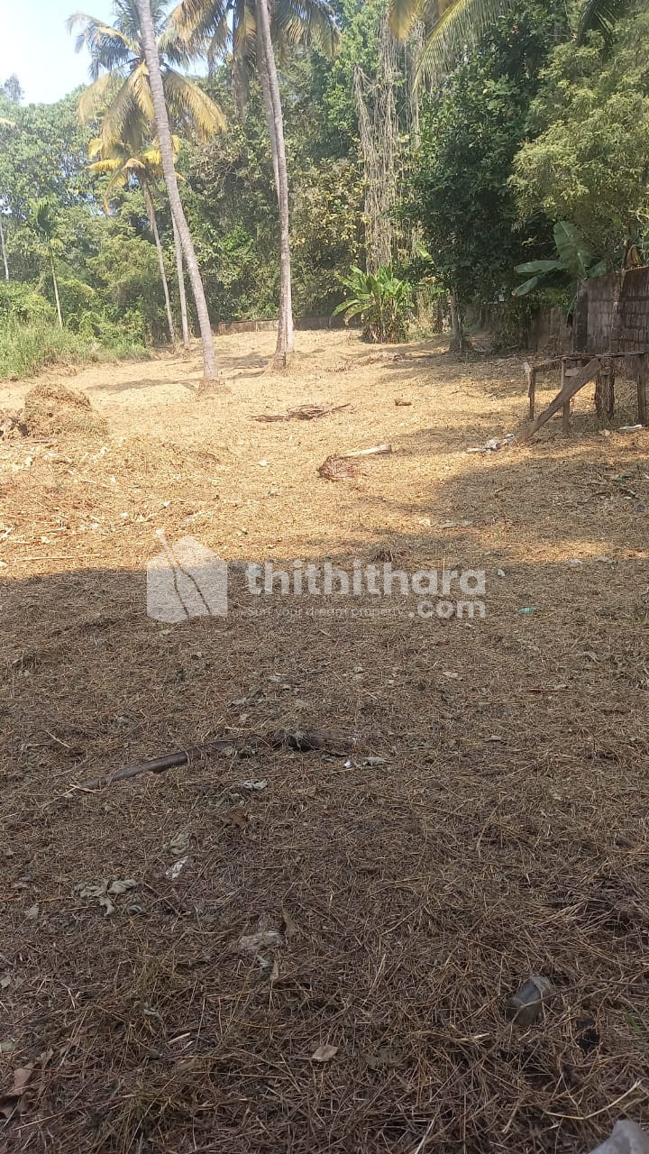 Residential Land available for Sale in Chalakudy Thrissur