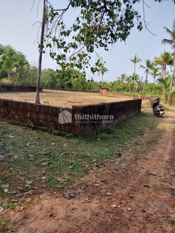 Residential Land available for Sale in Payyanur Kannur