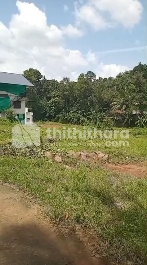 Residential Land available for Sale in Konni Pathanamthitta
