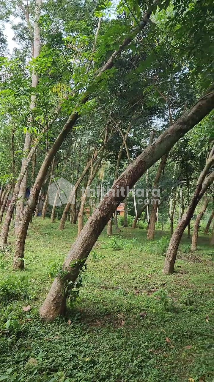 Residential Land available for Sale in Kattakkada Thiruvananthapuram