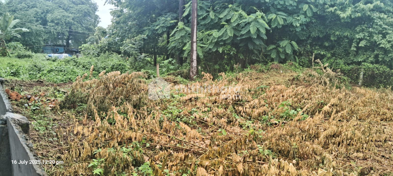  Residential Land for sale at Kannadi Palakkad