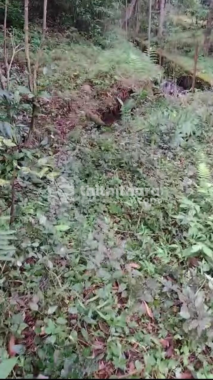 Commercial Plots available for Sale in Lakkidy Wayanad