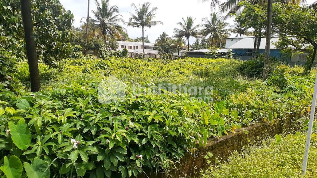 Residential land for sale in kalathode