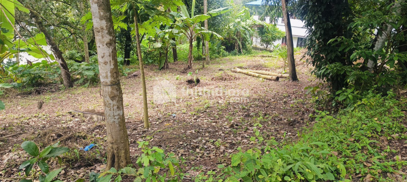 Residential Land available for Sale in Chathannoor Kollam