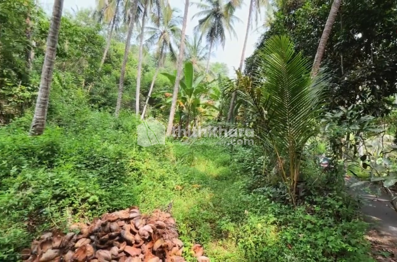 Residential Land available for Sale in Kunnamangalam Kozhikode